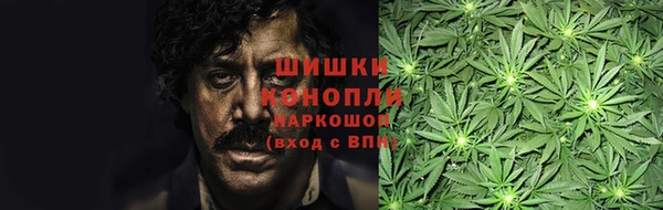 PSILOCYBIN Алексеевка