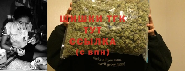 PSILOCYBIN Алексеевка