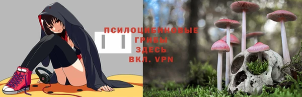 PSILOCYBIN Алексеевка