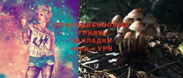 гашик Алзамай