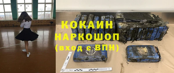 гашик Алзамай